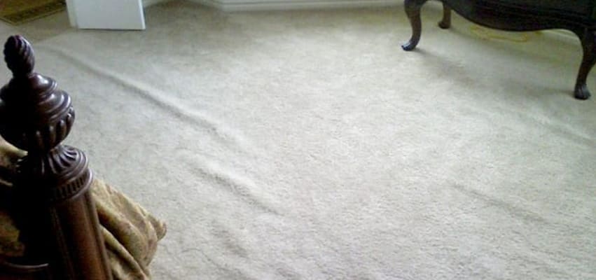 Expert Carpet Stretching Service