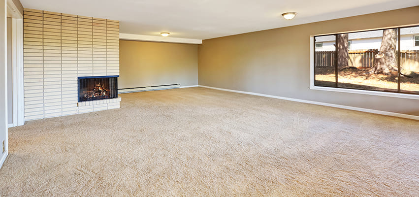Expert Fairview Carpet Cleaning and Carpet Restoration
