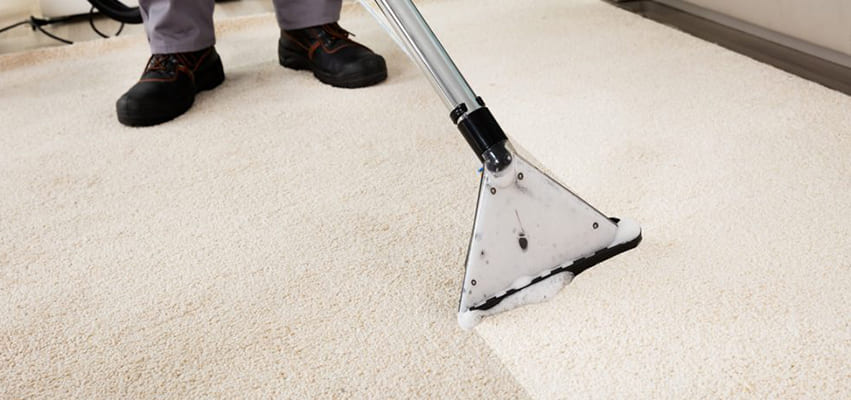 Lindblom's Carpet Cleaning Services